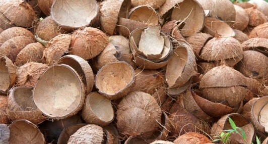 Quốc Tế Đức Hiếu 7