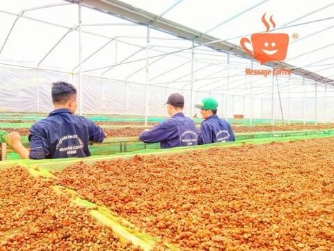 Thương mại đầu tư DATHACO 6