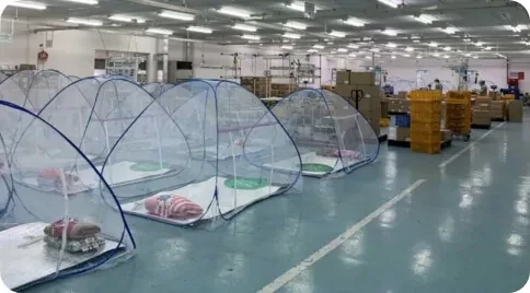 ĐẦU TƯ LONG ĐỨC 8