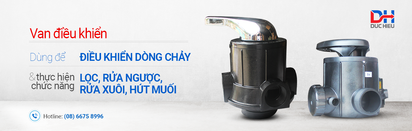 Quốc Tế Đức Hiếu 10