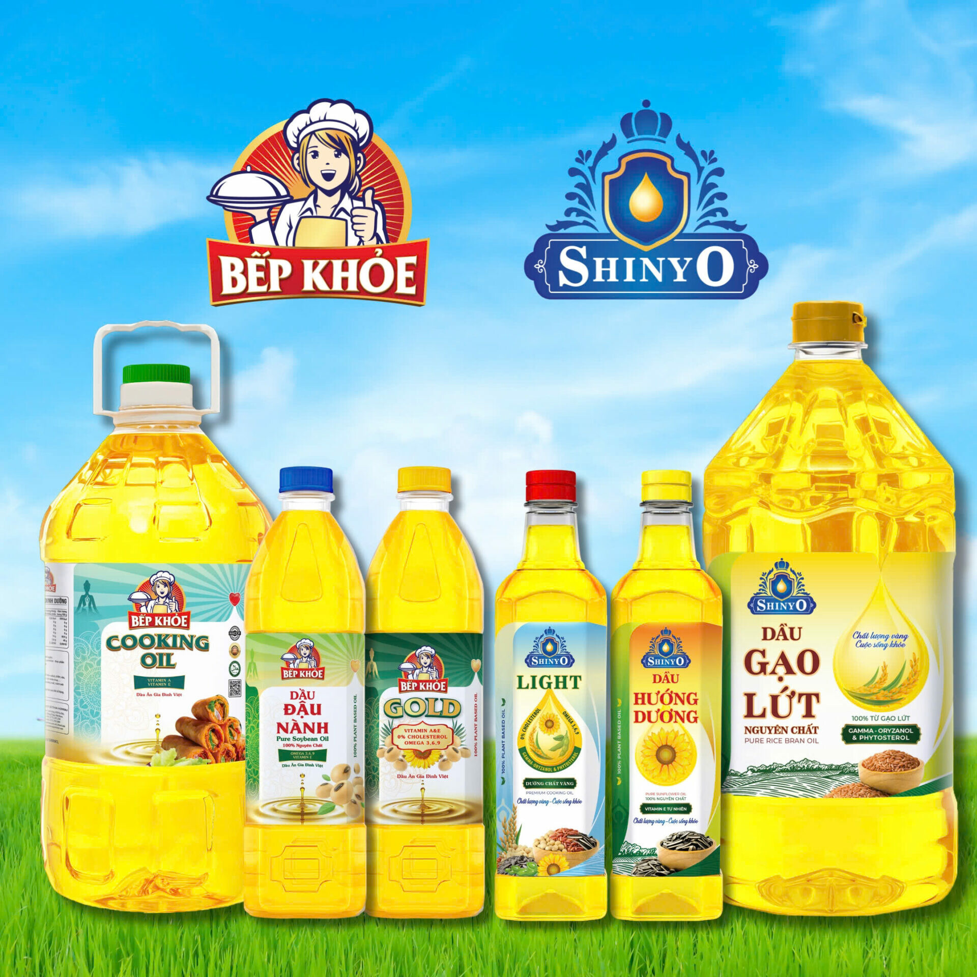 Dầu Gạo Sethia Hemraj 10