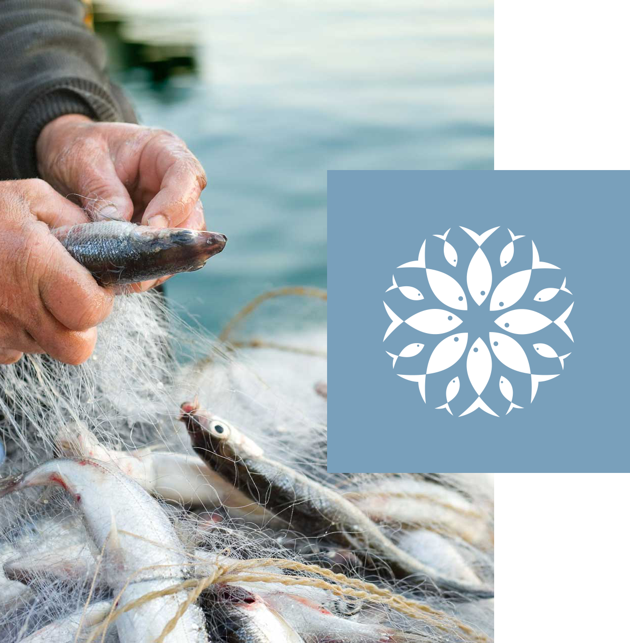 THỰC PHẨM SA KỲ 1