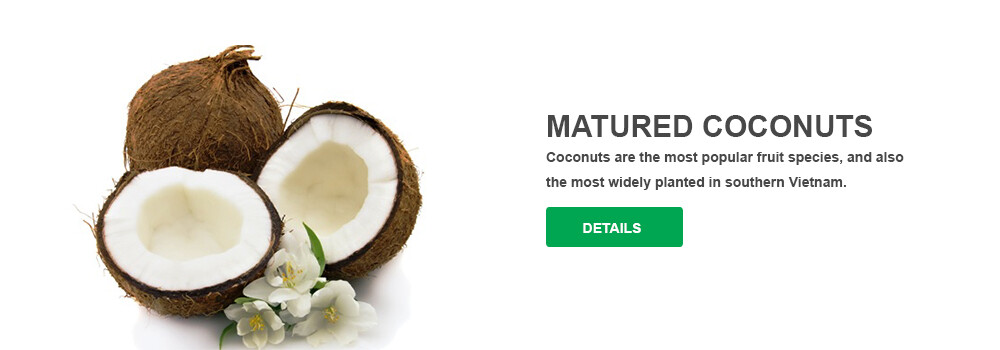 GALAXY INTERNATIONAL 6