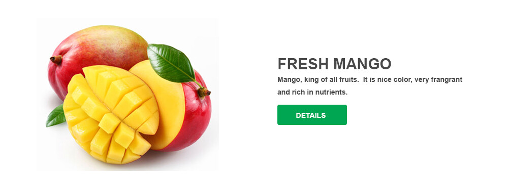 GALAXY INTERNATIONAL 4