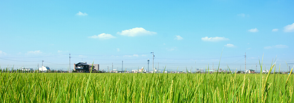 GALAXY INTERNATIONAL 2