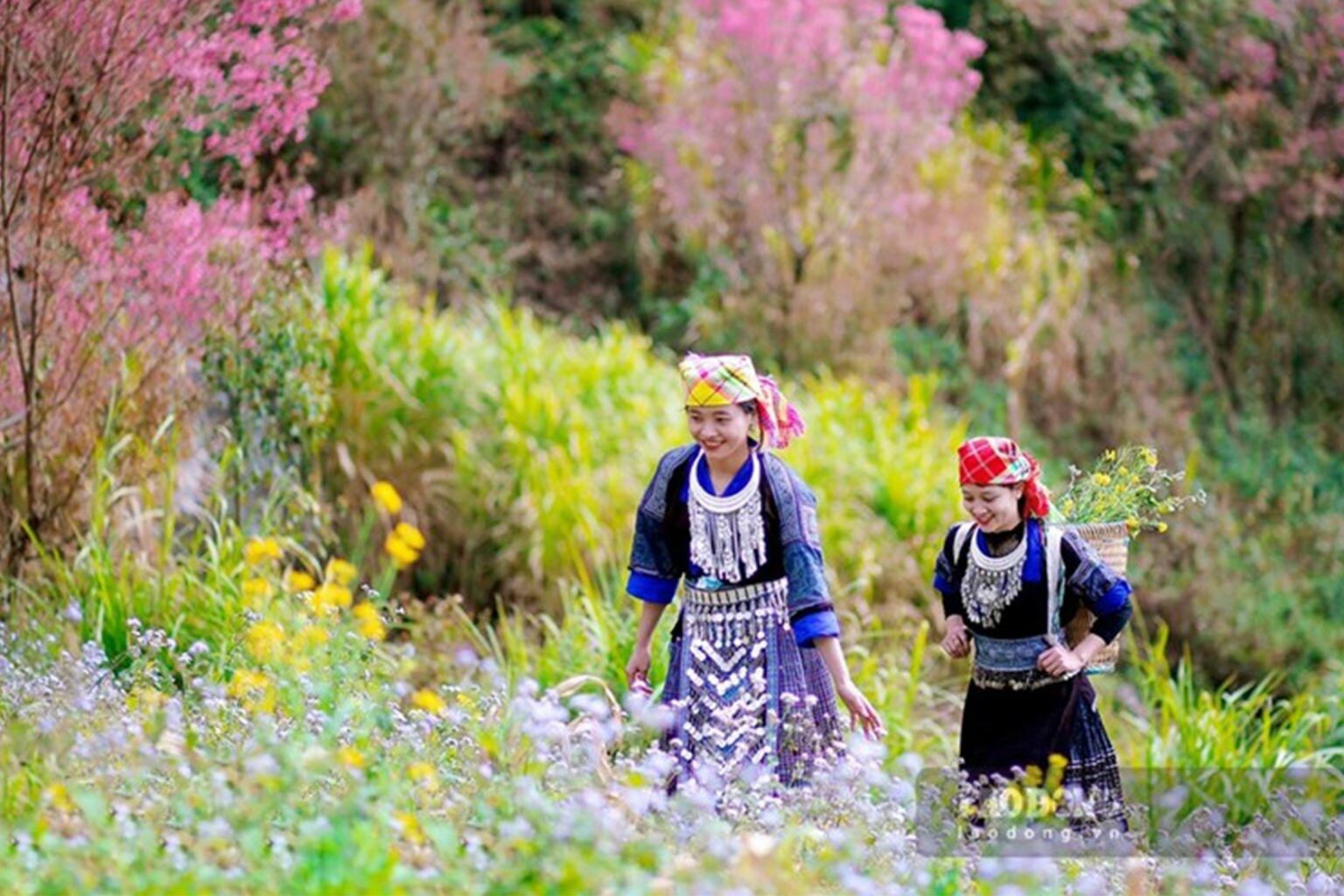 Venusgiti Hotspring Resort 3