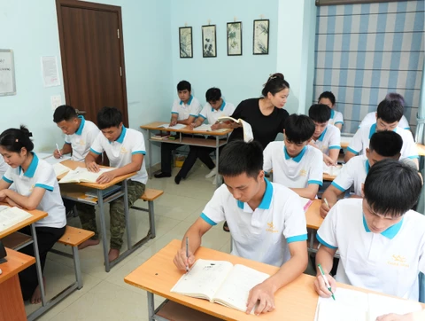 NHÂN LỰC QUỐC TẾ GOLD STAR 3