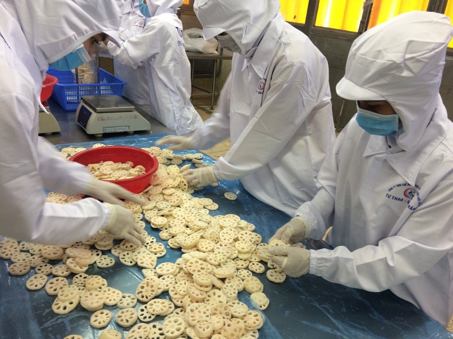 Chế Biến Thực Phẩm Nấm Xuất Khẩu Tư Thao Sóc Trăng 7