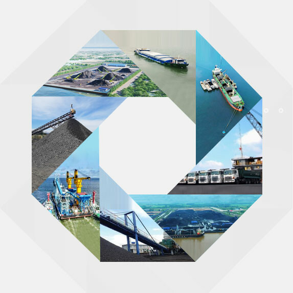 Tập Đoàn Long Thuận 5