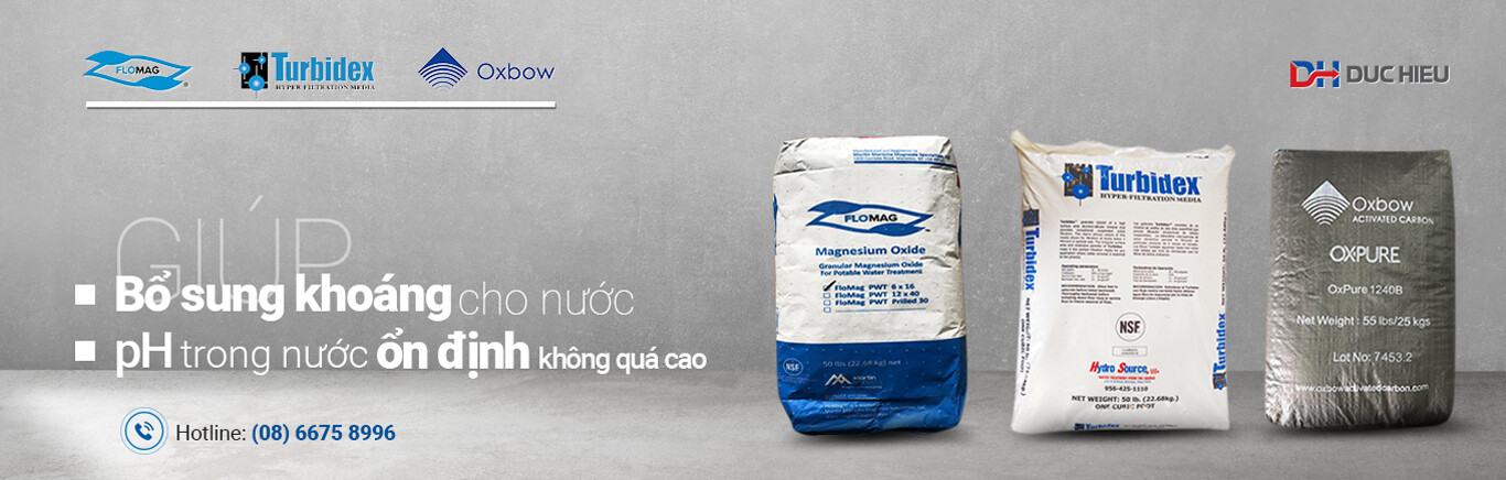 Quốc Tế Đức Hiếu 9