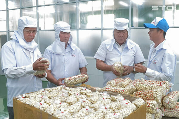 Chế Biến Thực Phẩm Nấm Xuất Khẩu Tư Thao Sóc Trăng 8