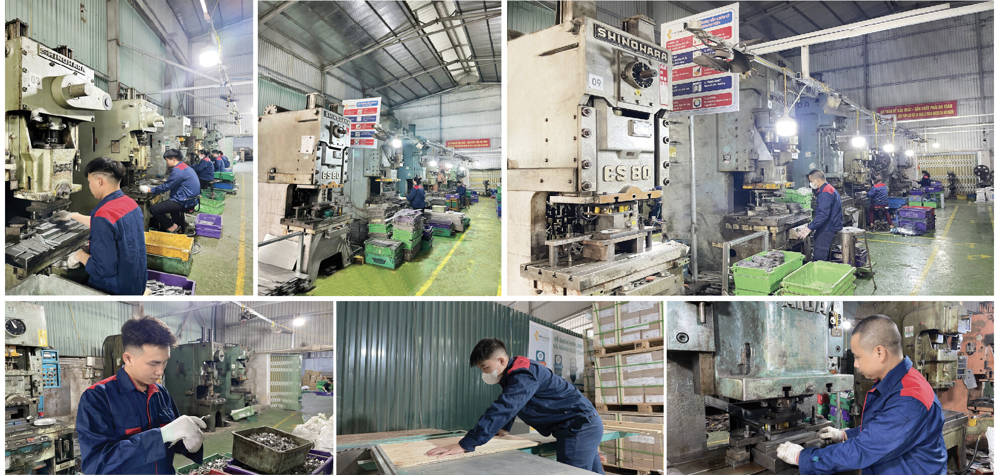 Vinaseco Việt Nam 6