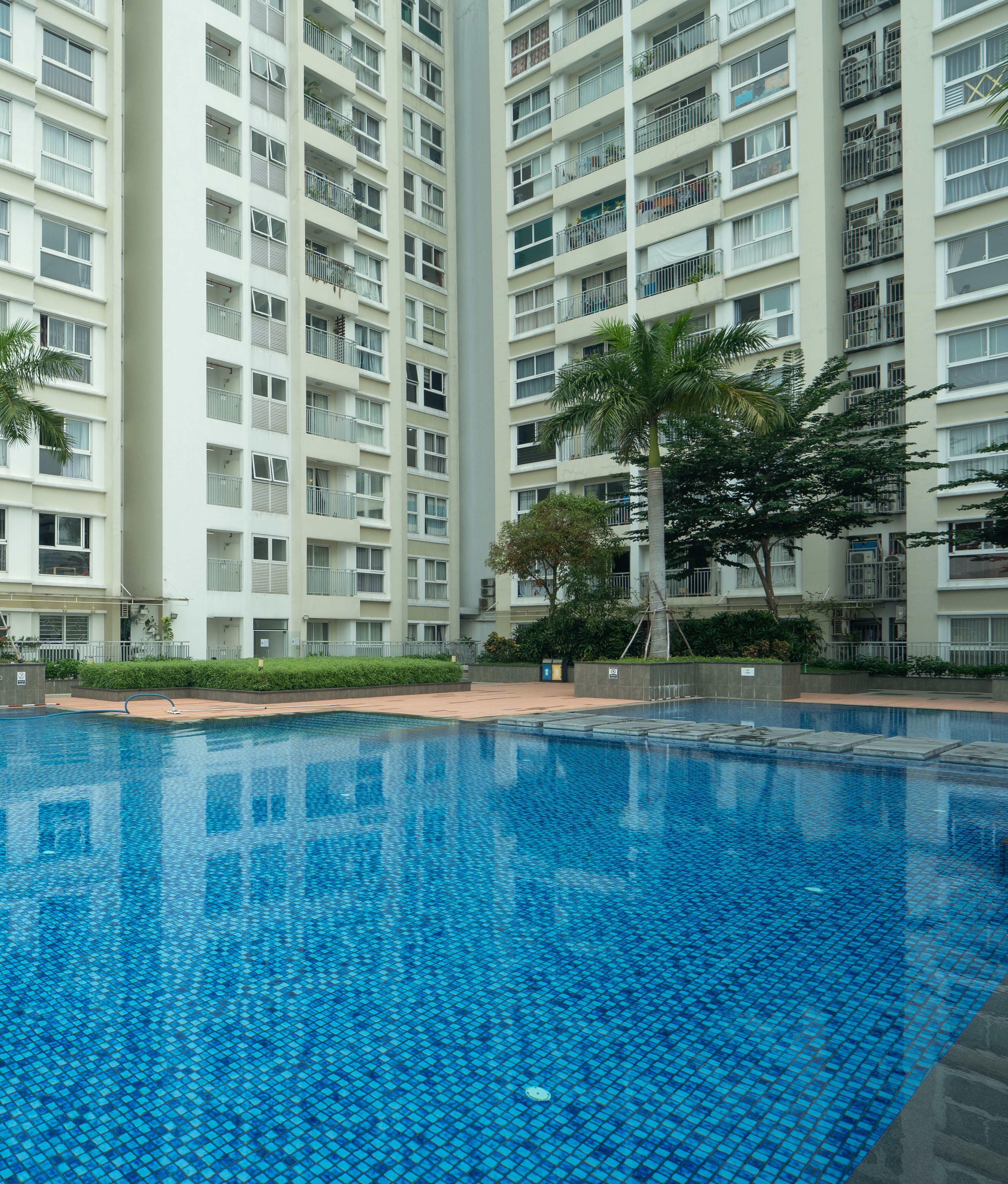 Quản Lý Bất Động Sản Nam Sài Gòn 8