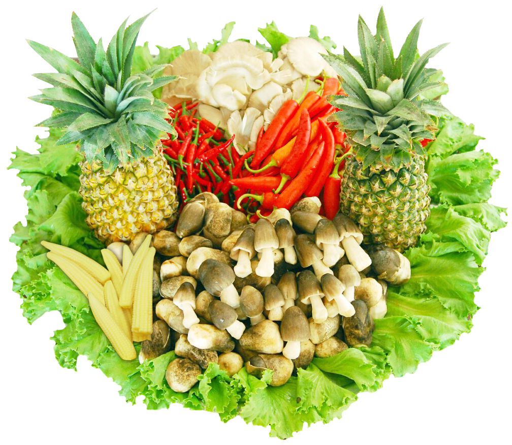 Chế Biến Thực Phẩm Nấm Xuất Khẩu Tư Thao Sóc Trăng 11