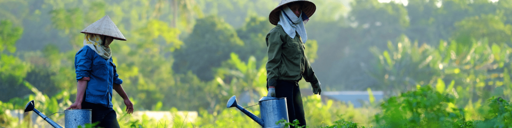 Hợp tác xã Sinh Dược 10