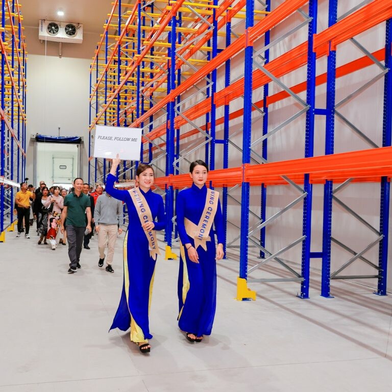 ĐẤT MỚI VIỆT NHẬT 10