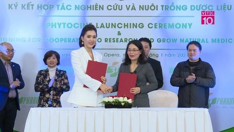 TẬP ĐOÀN 3T- ĐỨC THỊNH 8