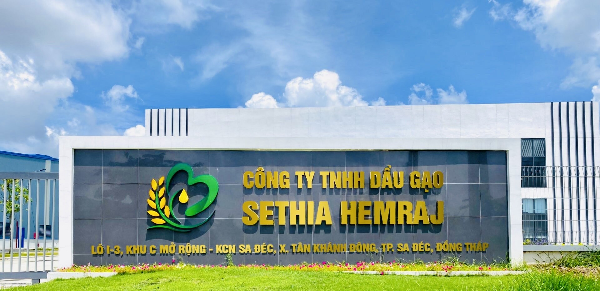 Dầu Gạo Sethia Hemraj 11