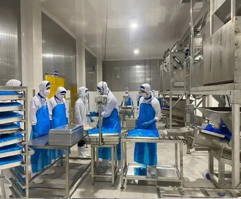 ĐẠI TRƯỜNG PHÚ 4