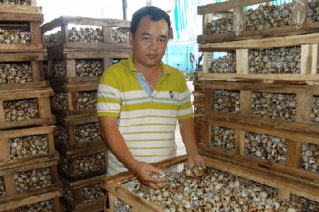 Vương Gia Hưng Thịnh 6