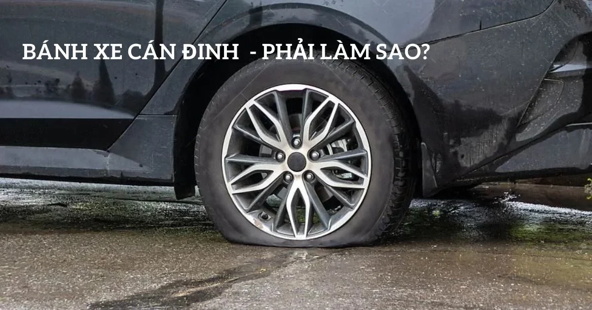 Đầu Tư Kinh Doanh Tổng Hợp DC 1