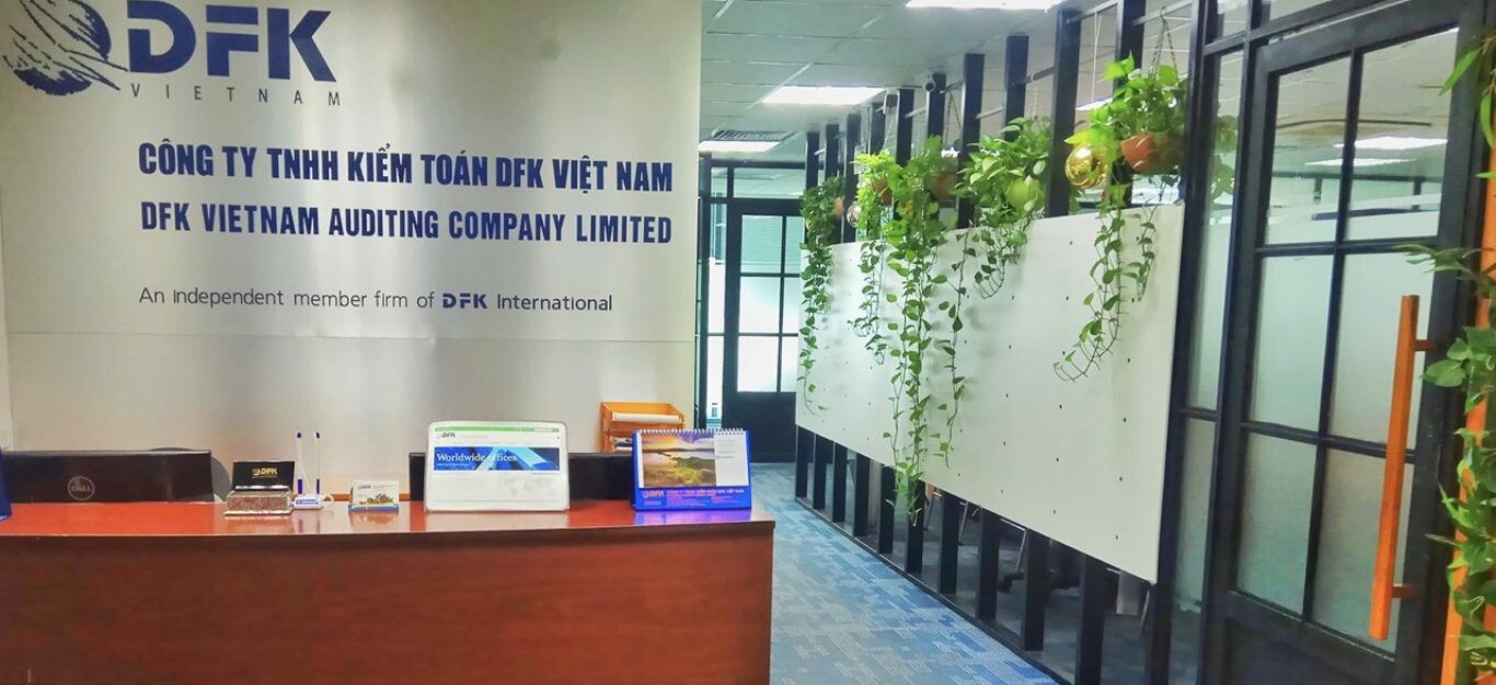 DFK Việt Nam 2