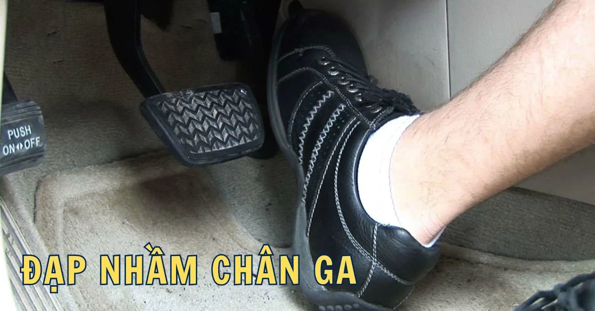 Đầu Tư Kinh Doanh Tổng Hợp DC 4