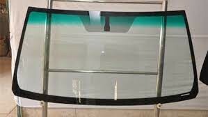 Yang Lin Global (Việt Nam) 10