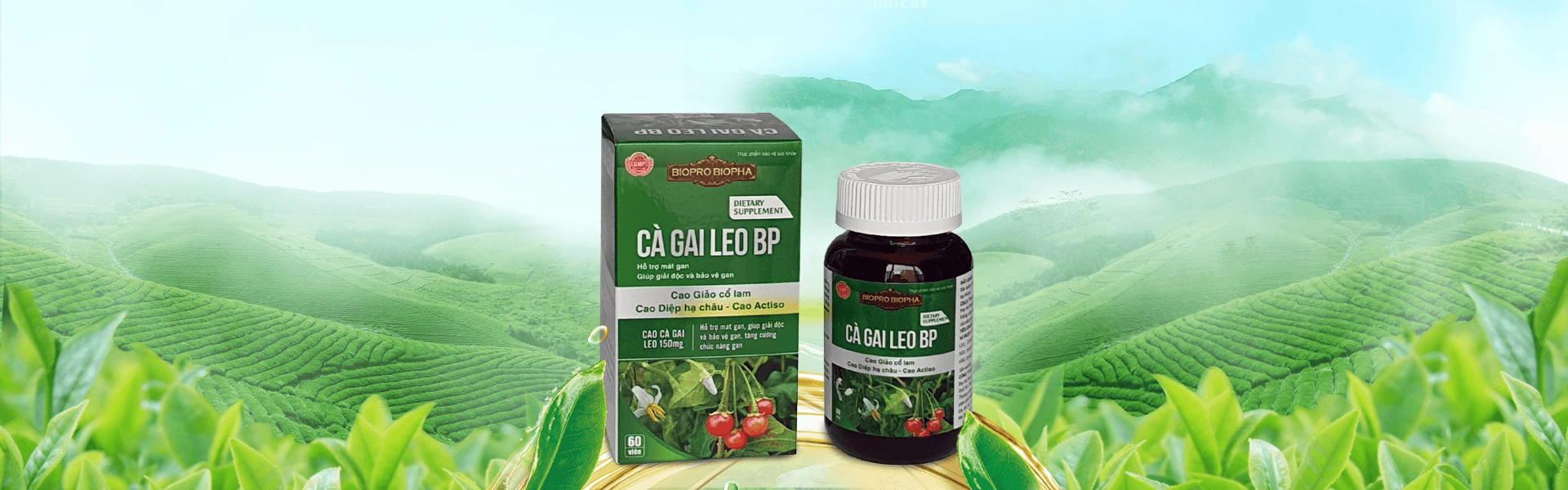 Sinh Học Dược Phẩm BIOPRO 10