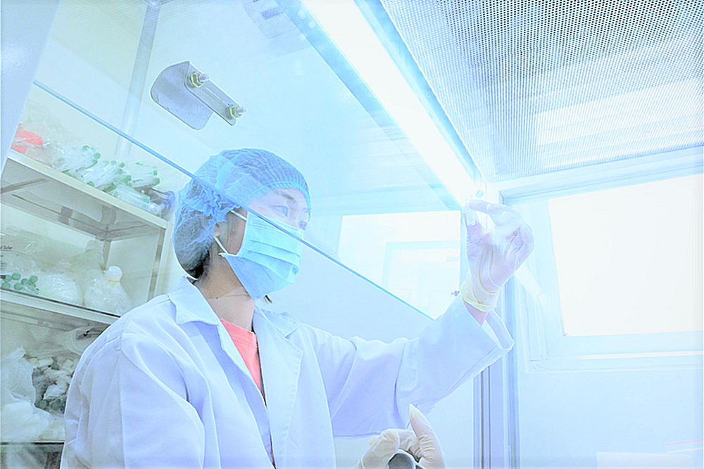 Công Nghệ Sinh Học Khoa Thương 10