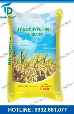 Bao Bì Thuận Phát 1