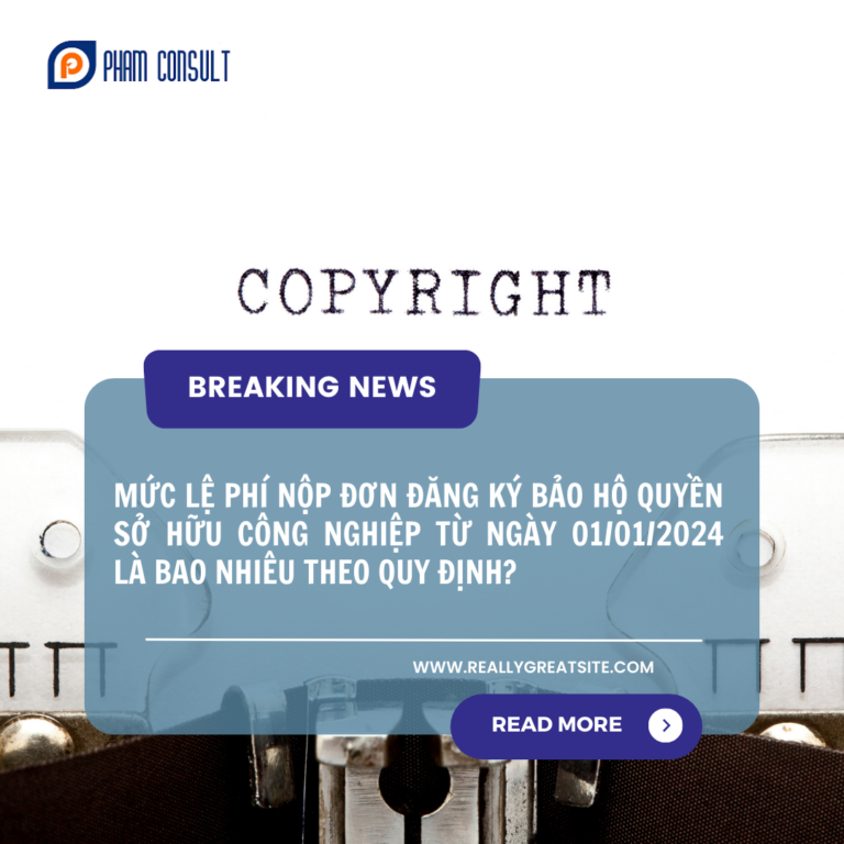 Tư Vấn Phạm và Các Cộng Sự 5