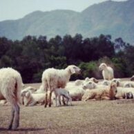 Công Nghệ Sinh Học Khoa Thương 1