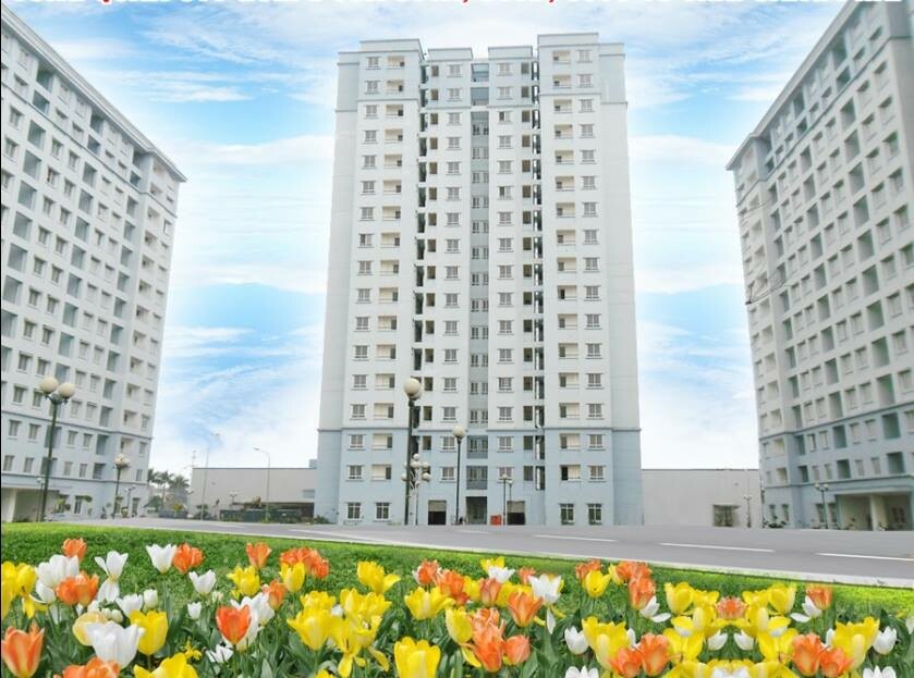 Bất Động Sản THT 12