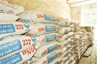 BOCA COMMODITY JOINT STOCK COMPANY 2