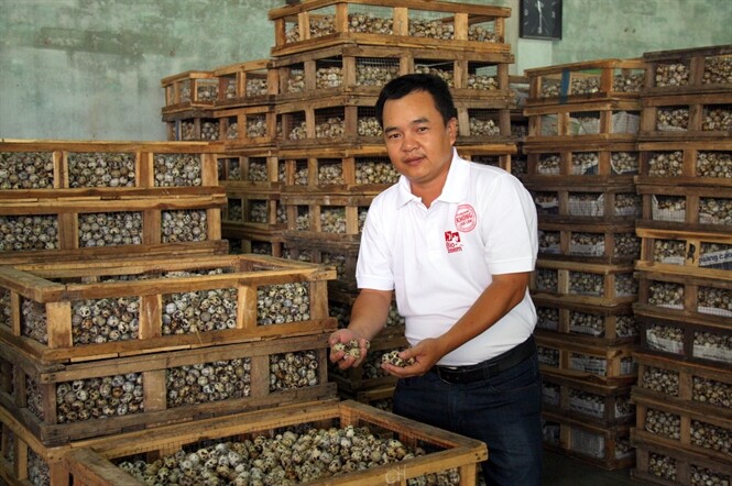 Vương Gia Hưng Thịnh 10