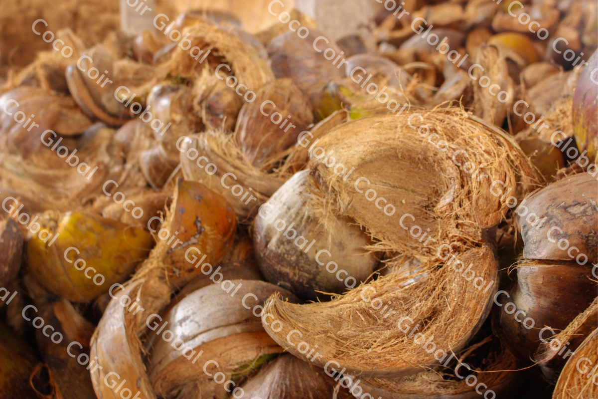 Công ty TNHH COCO COIR GLOBAL 4