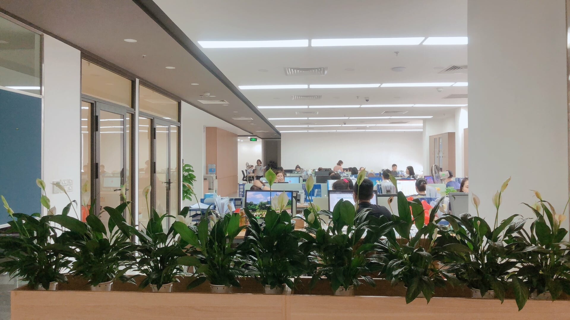 Thương Mại Đầu Tư & Phát Triển Phoenix 7