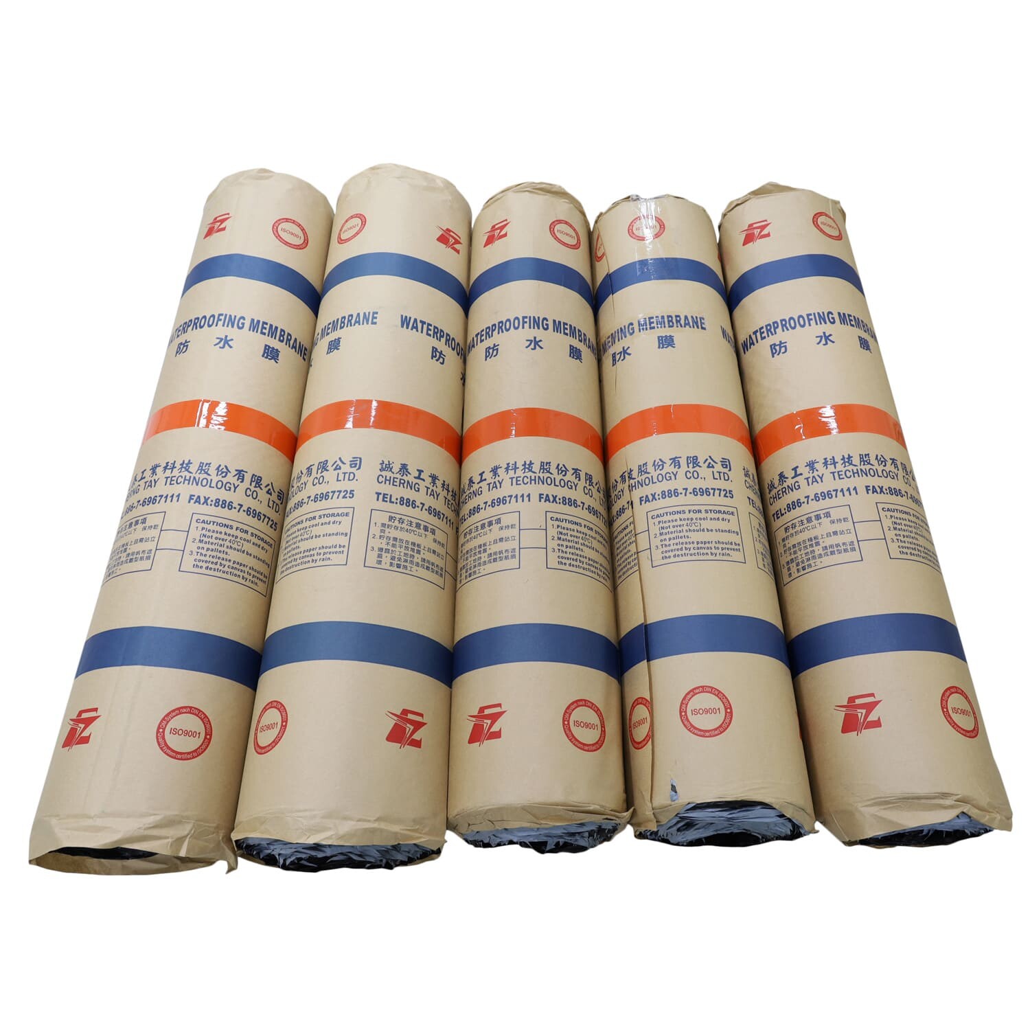 Thành Thái Việt Nam 2