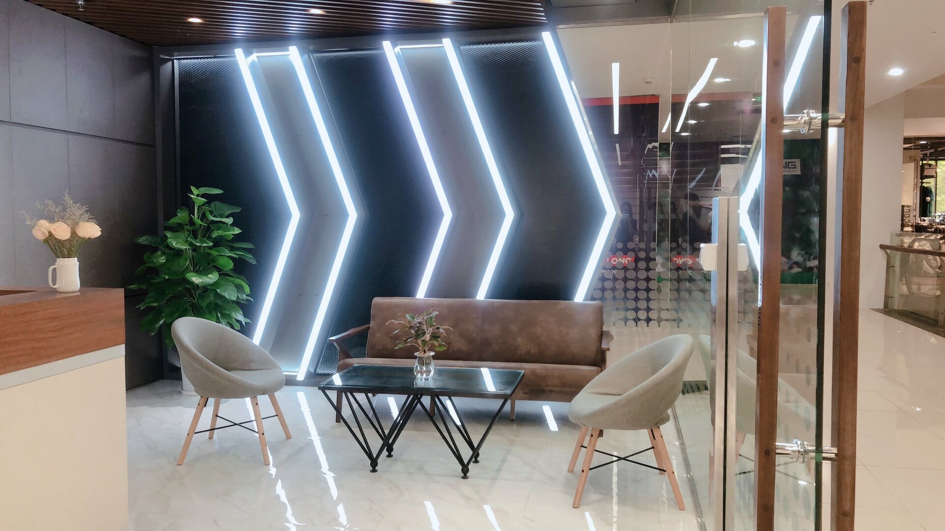 Thương Mại Đầu Tư & Phát Triển Phoenix 9