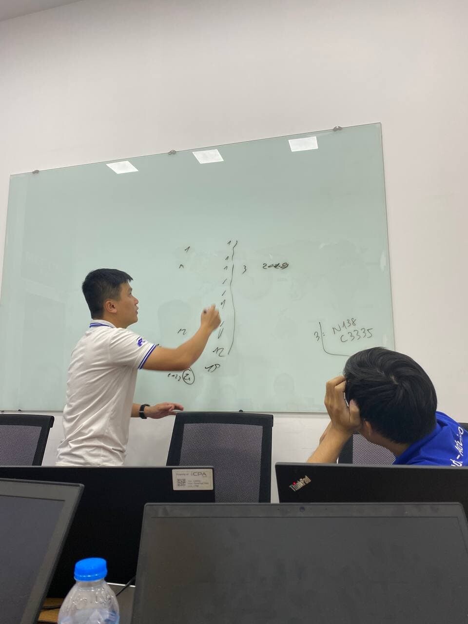 ICPA audit.advisory 2