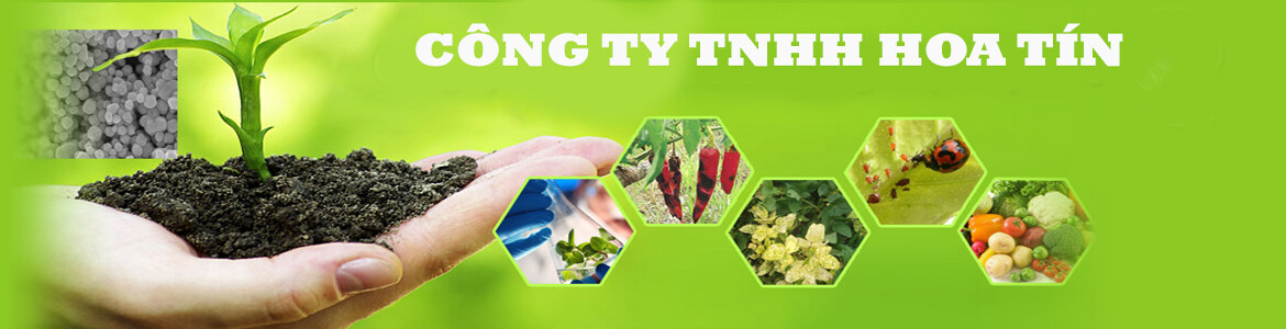 CÔNG TY TNHH HOA TÍN 9