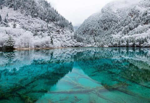 du lịch quốc tế Lợi Nguyên Đạt Việt Nam 5