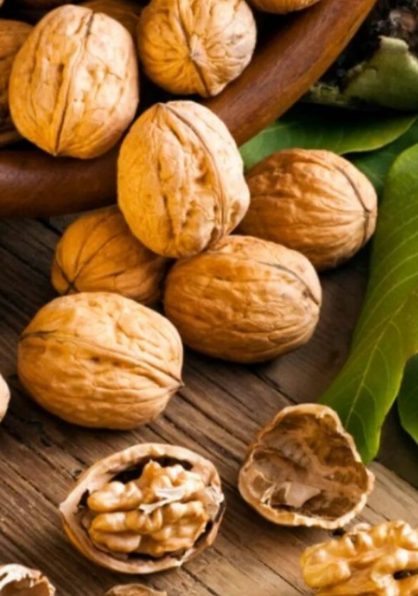 Valency Việt Nam 3