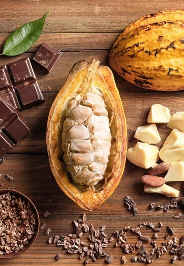 Valency Việt Nam 2