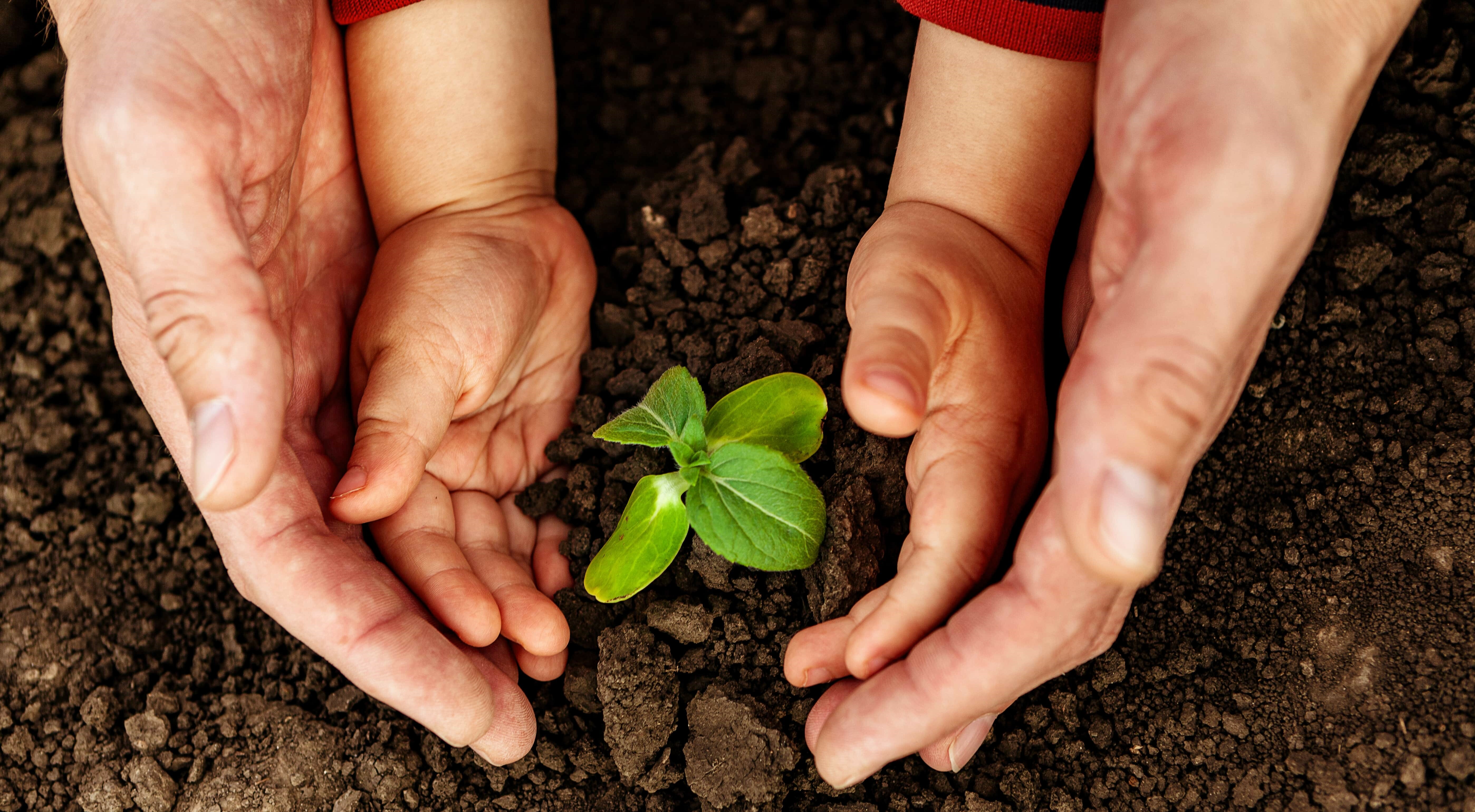 Valency Việt Nam 6