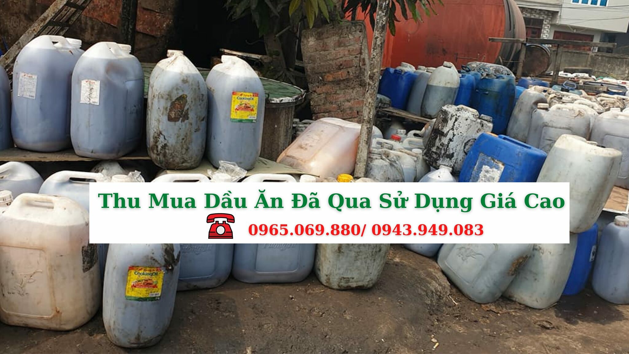 TM & XNK ÁNH TRANG 4