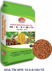 CÔNG TY TNHH HOA TÍN 6