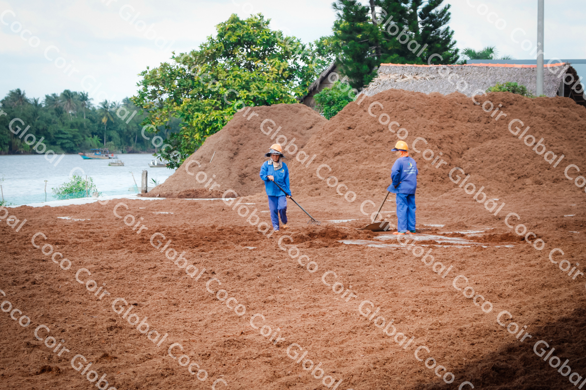 Công ty TNHH COCO COIR GLOBAL 6