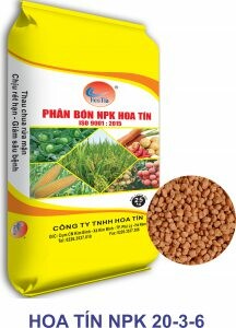 CÔNG TY TNHH HOA TÍN 4